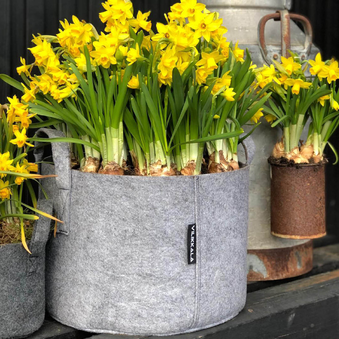 Basic - Graphite - 23 Liter