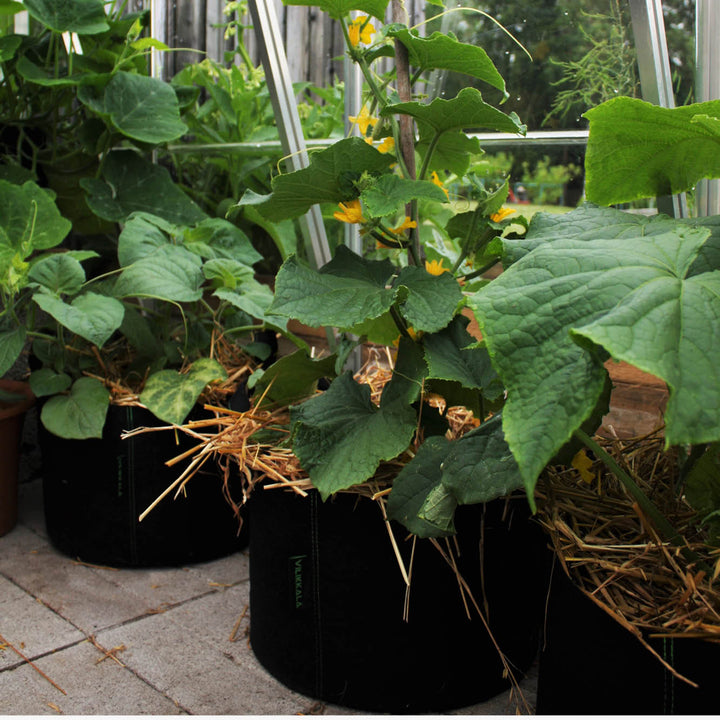 Säilytyskori BASIC musta 23 L