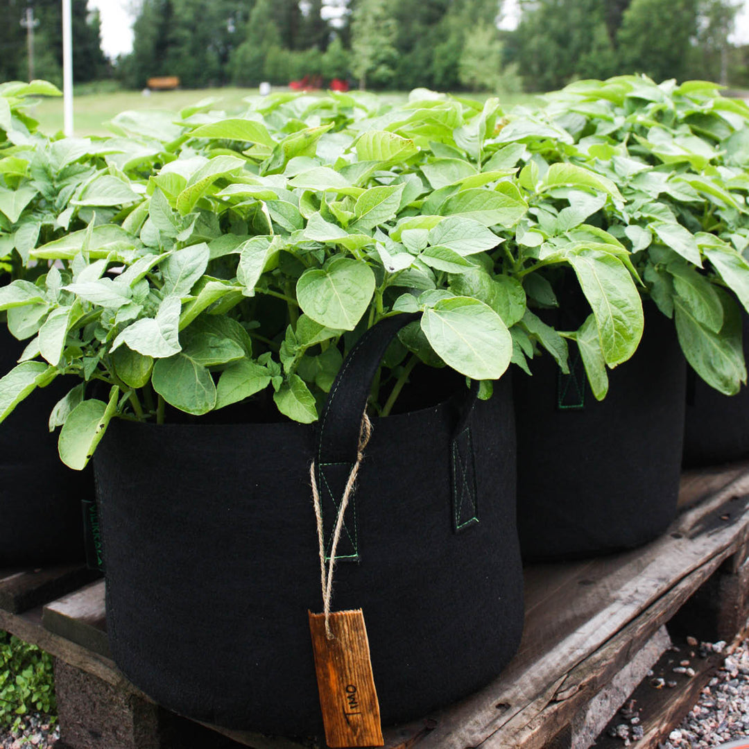 Säilytyskori BASIC musta 23 L